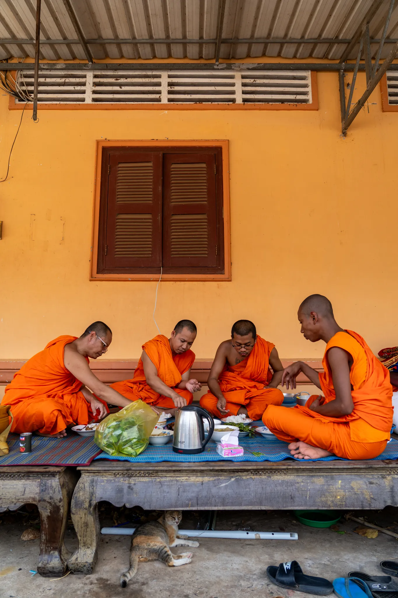 Monks sharing a meal, a cat relaxing beneath the table, Cambodia