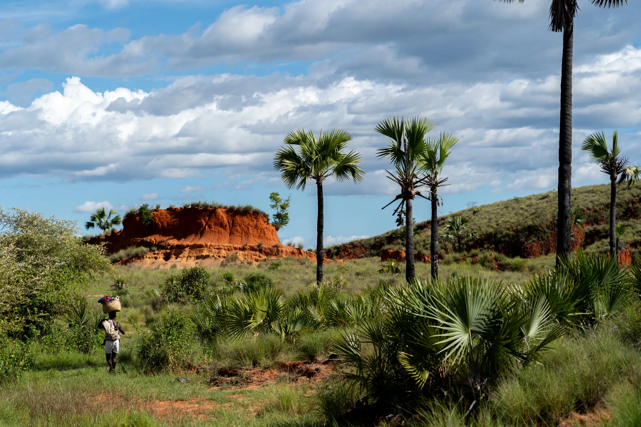 Woman walking past eroded red hills in north-western, Madagascar