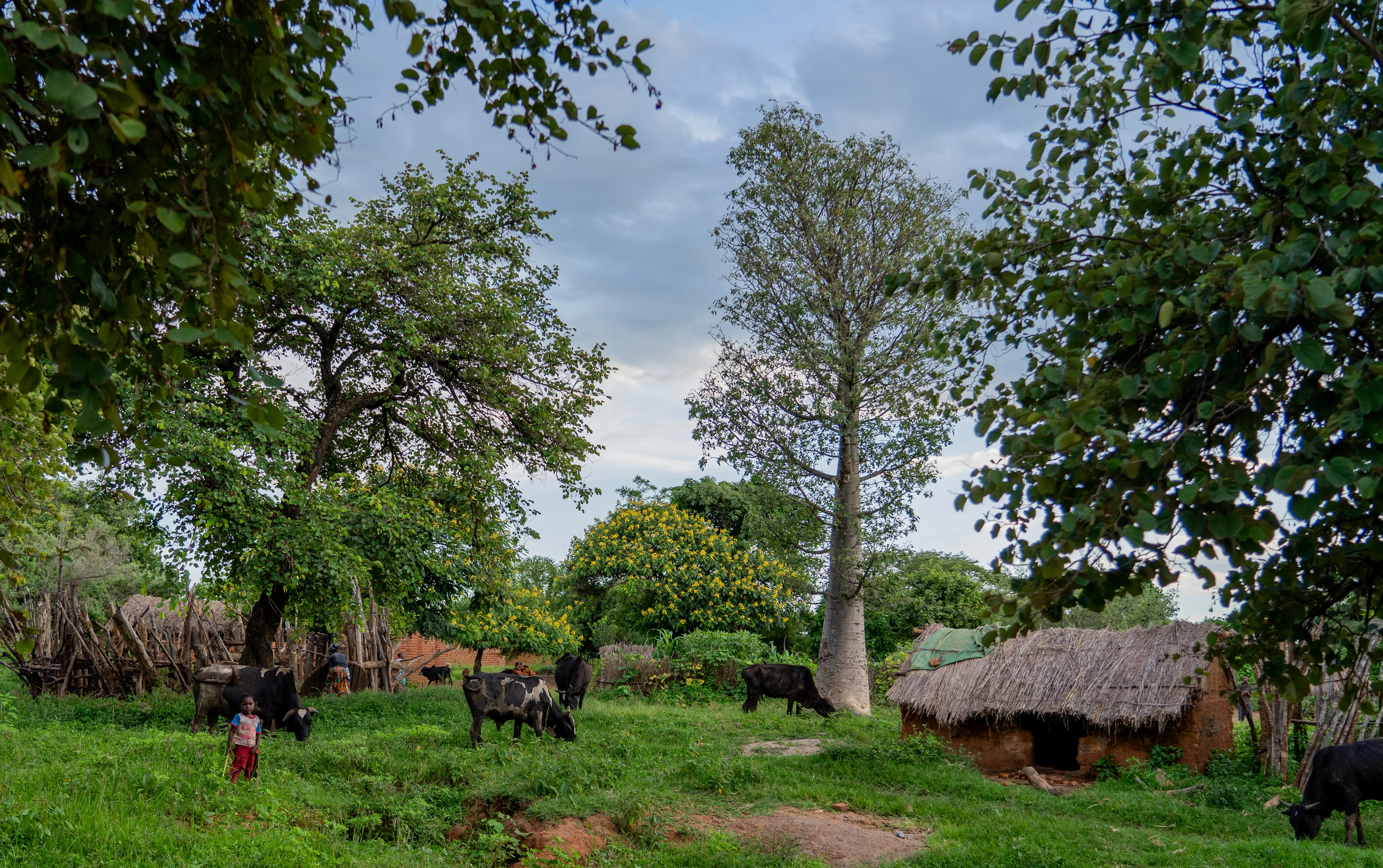 Village, Zambia