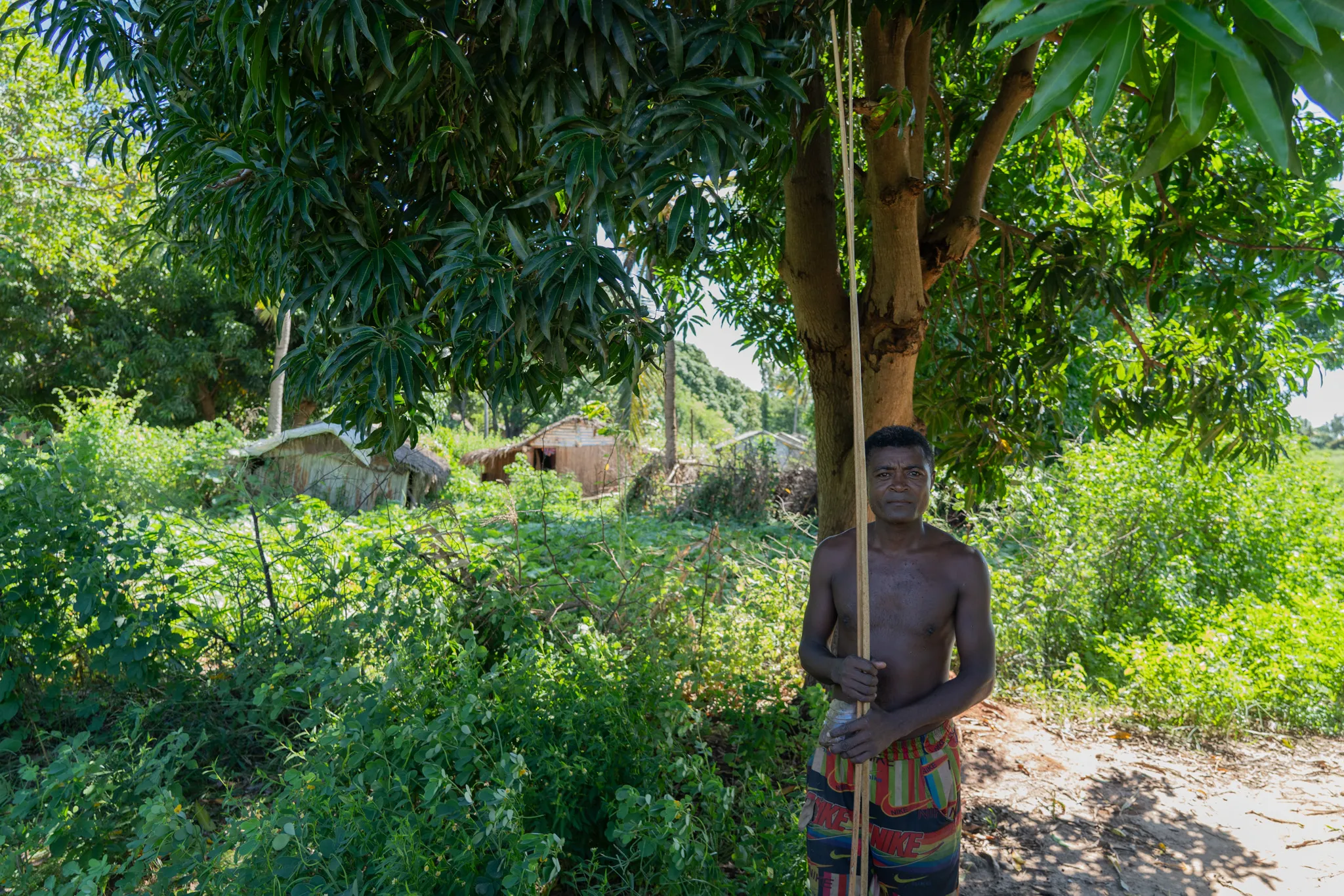 Portrait of a man under the shade of a tree in western, Madagascar
