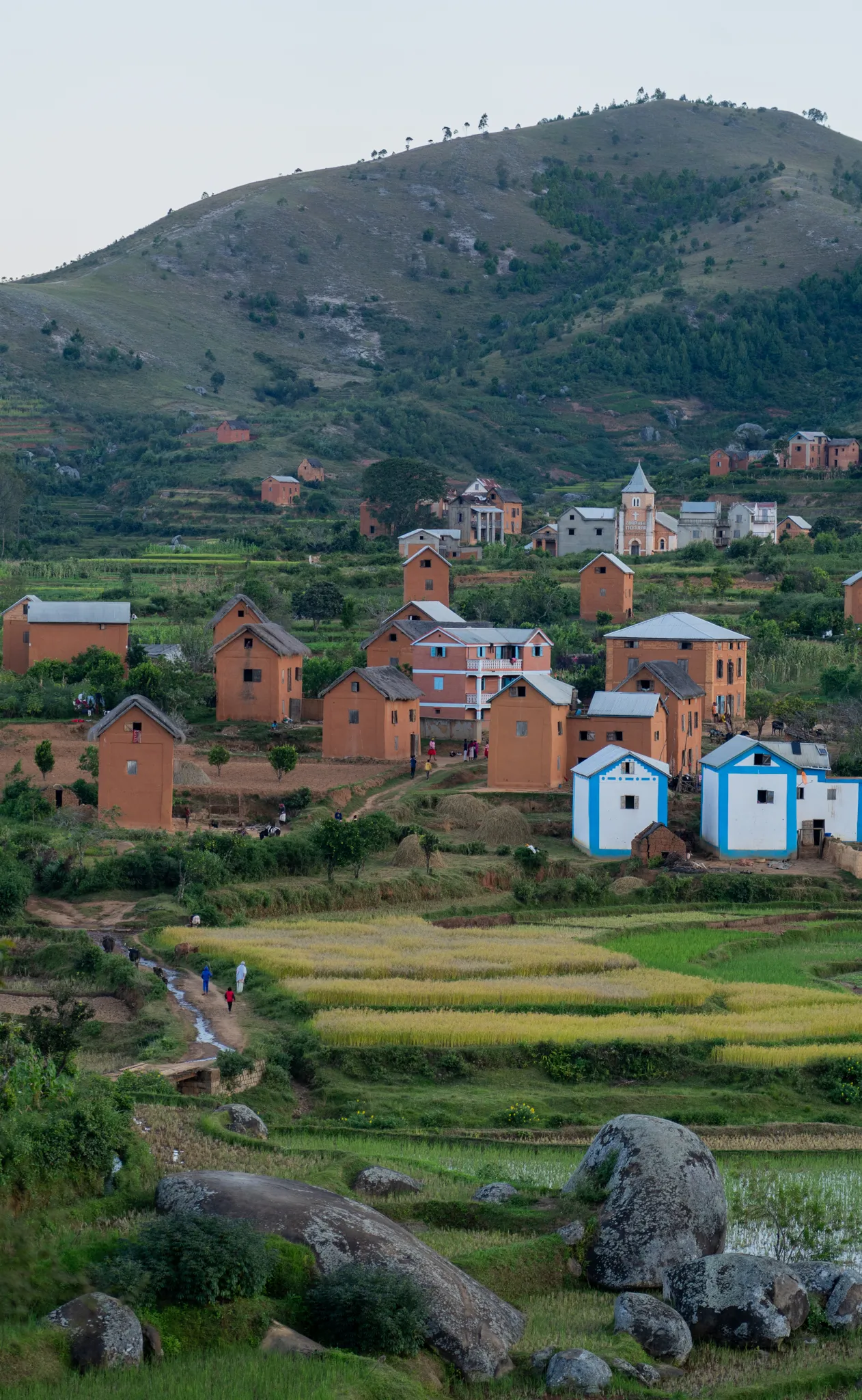 Village houses above the rice paddies in the southern highlands, Madagascar