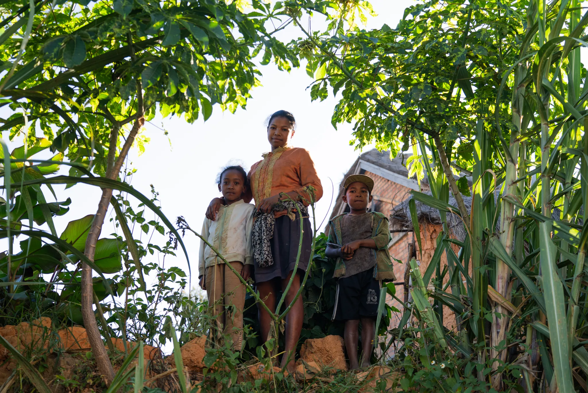 Siblings backlit at dusk in the southern highlands, Madagascar