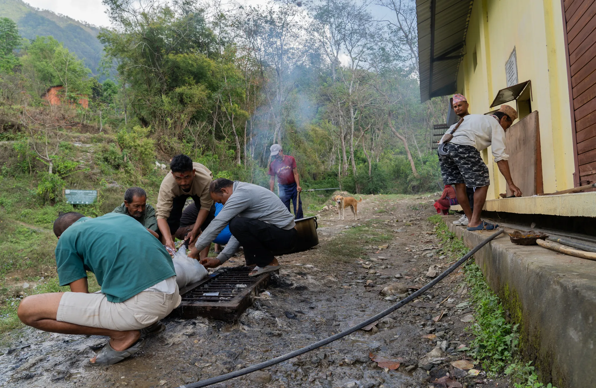 Men butchering an animal, Nepal