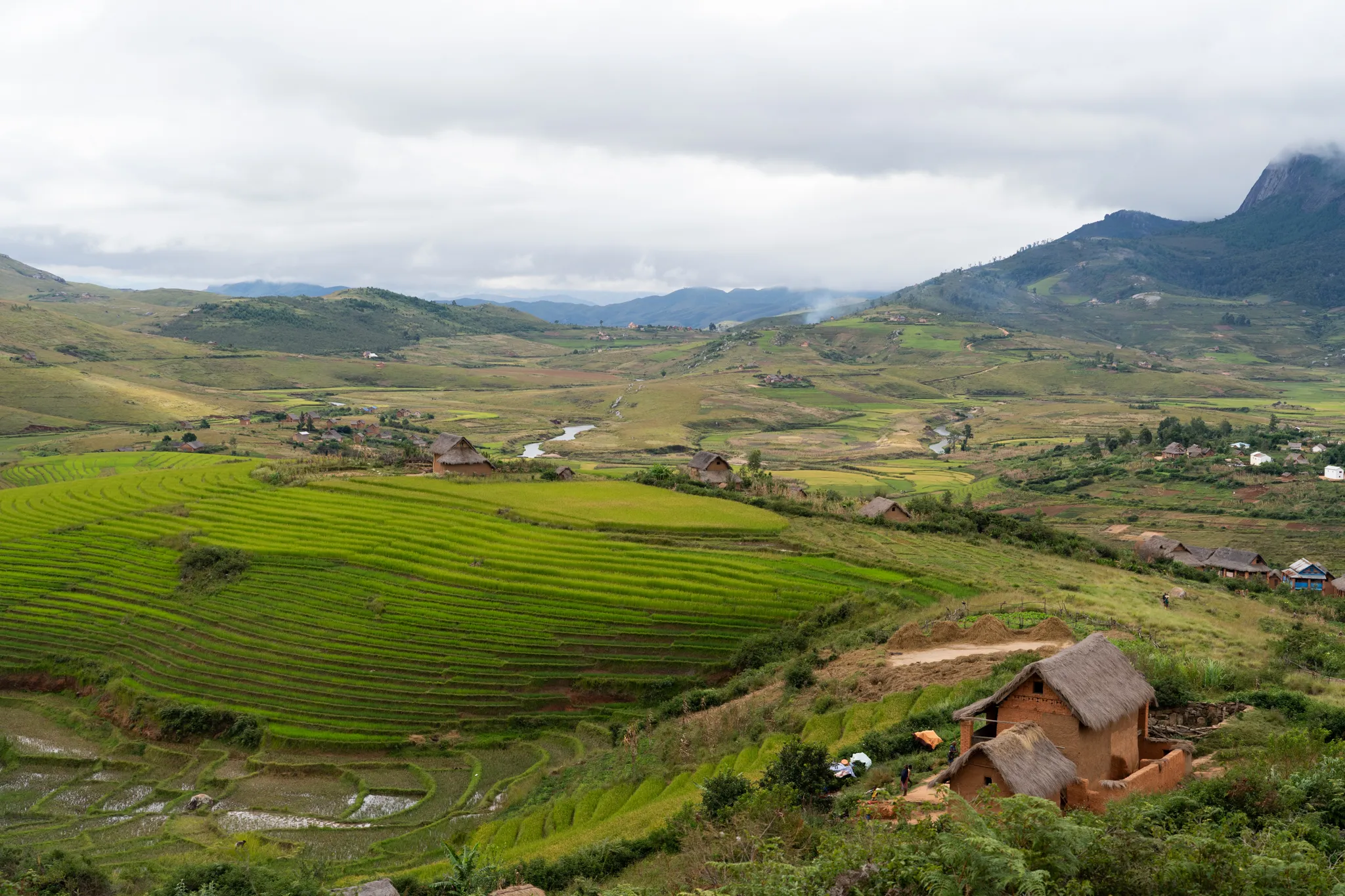 Terraced rice fields in Andringitra National Park, Madagascar