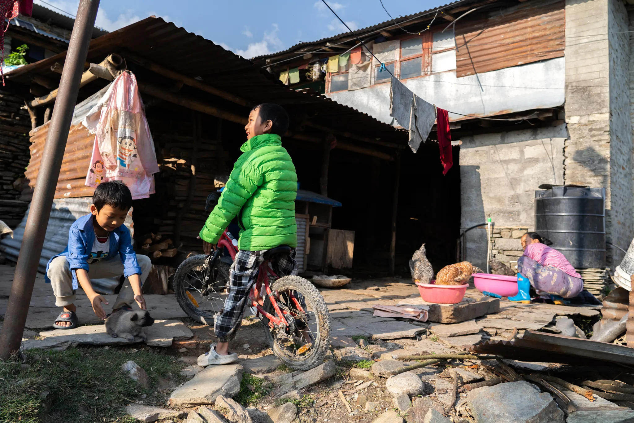 Boy on a bicycle with a puppy and chickens in the yard, Nepal