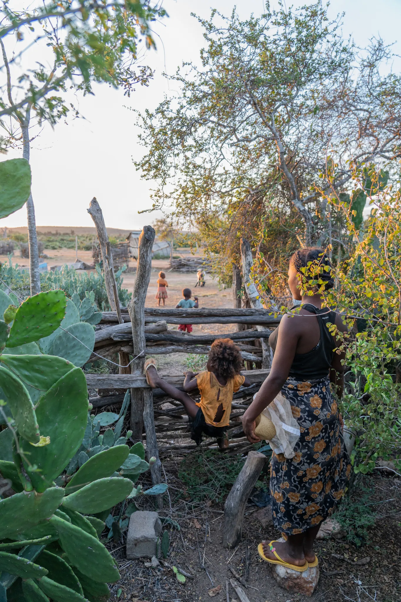 Androy Woman and children bringing home honey, Madagascar