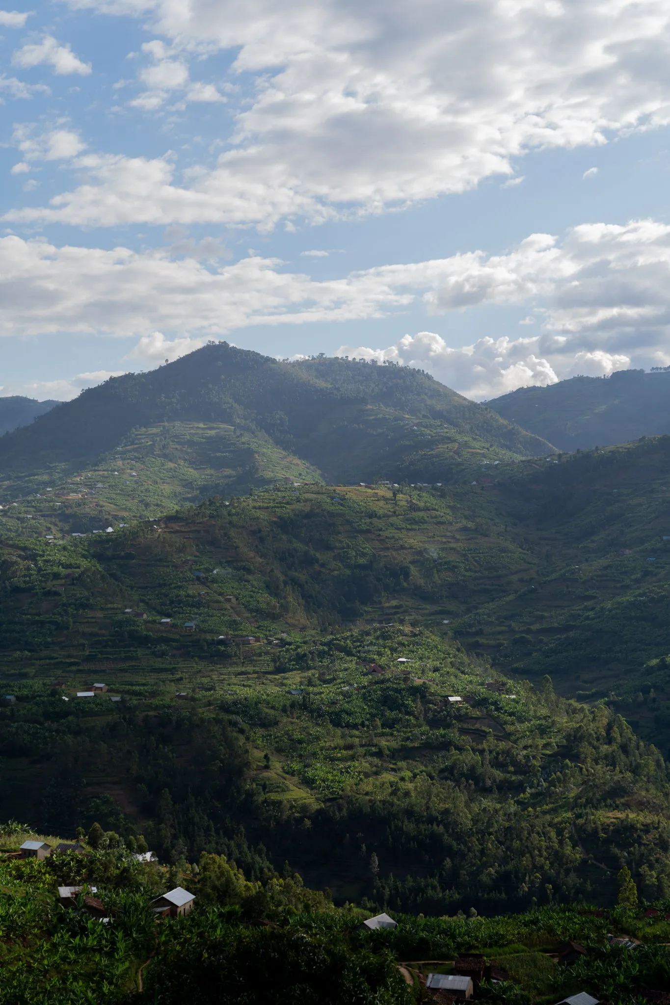 Rolling green hills, Rwanda