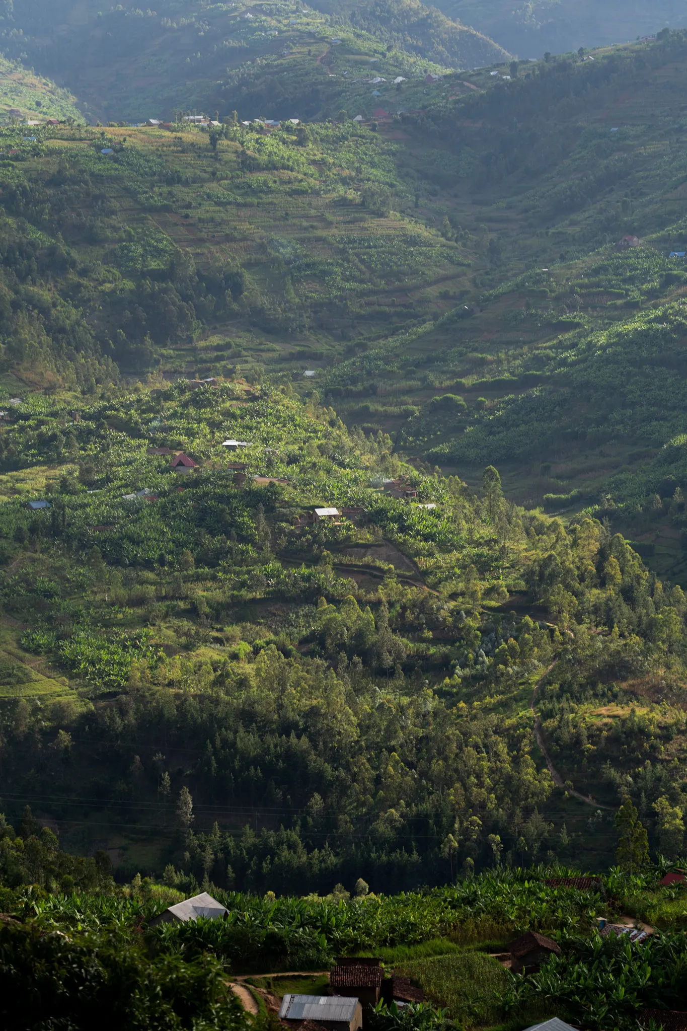 Farms and rooftops tucked into the terraces, Rwanda