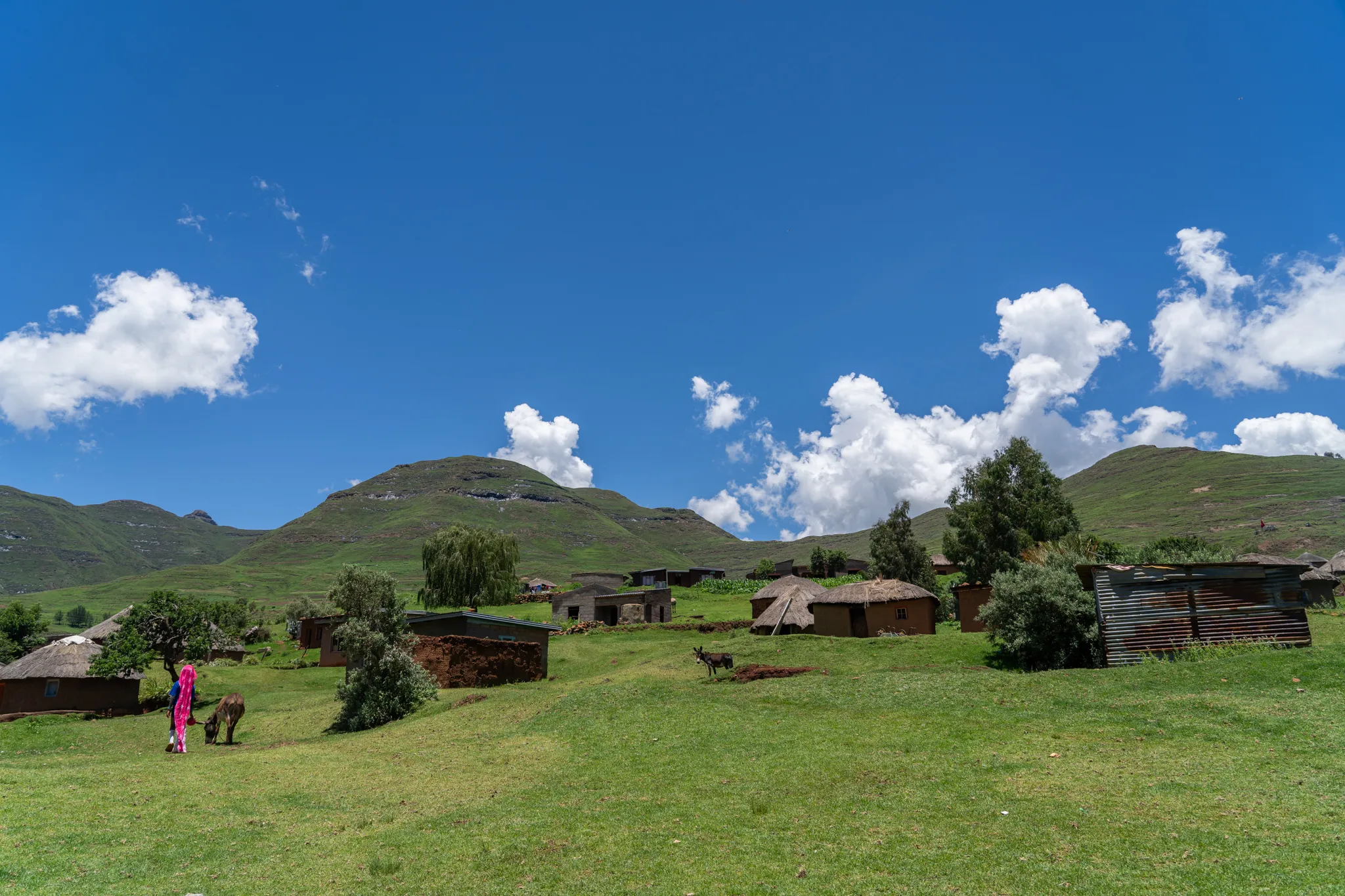 Thatched village and grazing donkey below green peaks, Lesotho