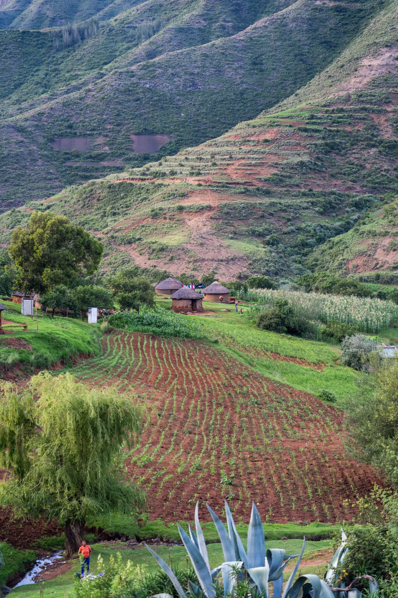 Portrait landscape, Lesotho