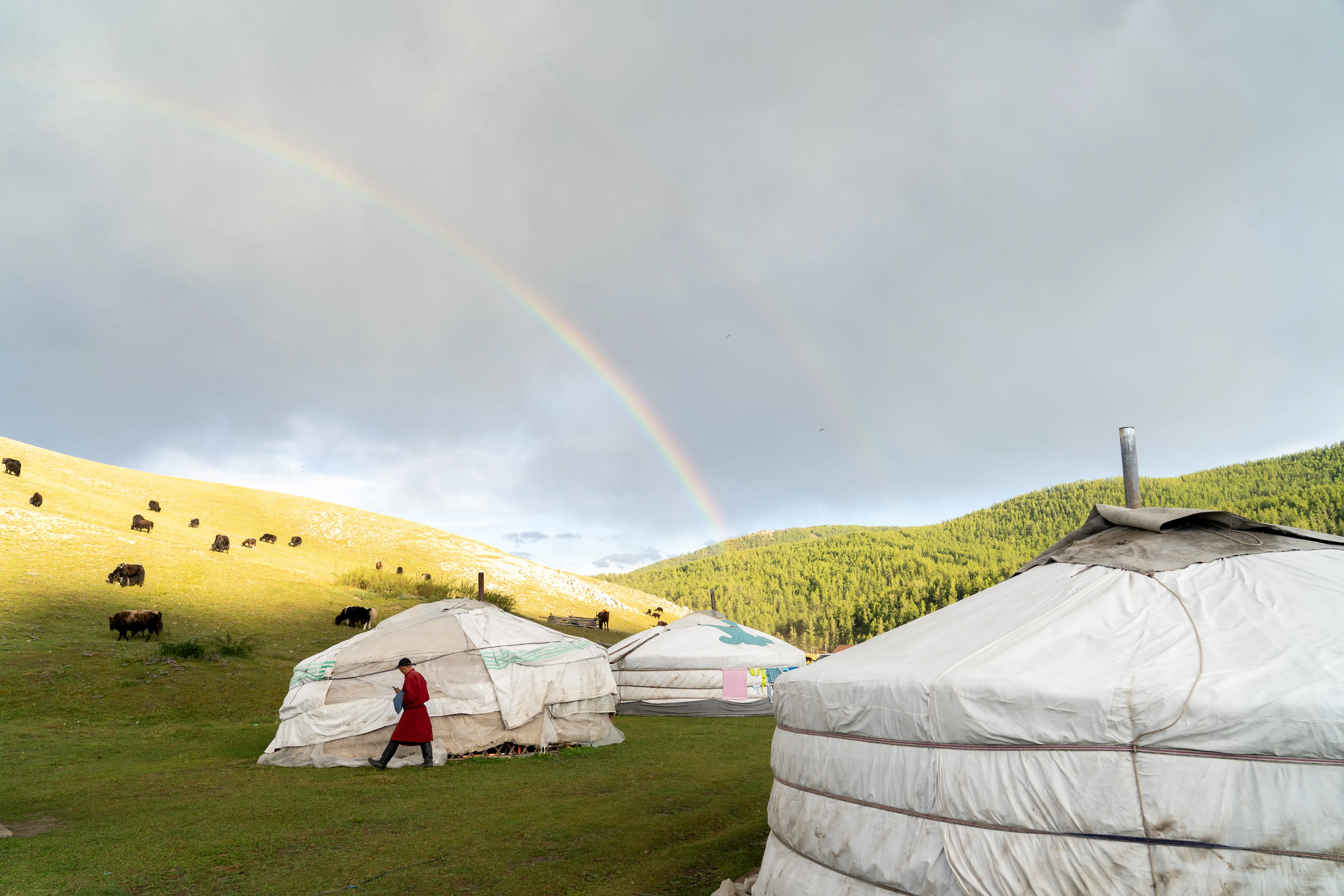 Herder walking home beneath a double rainbow, Mongolia