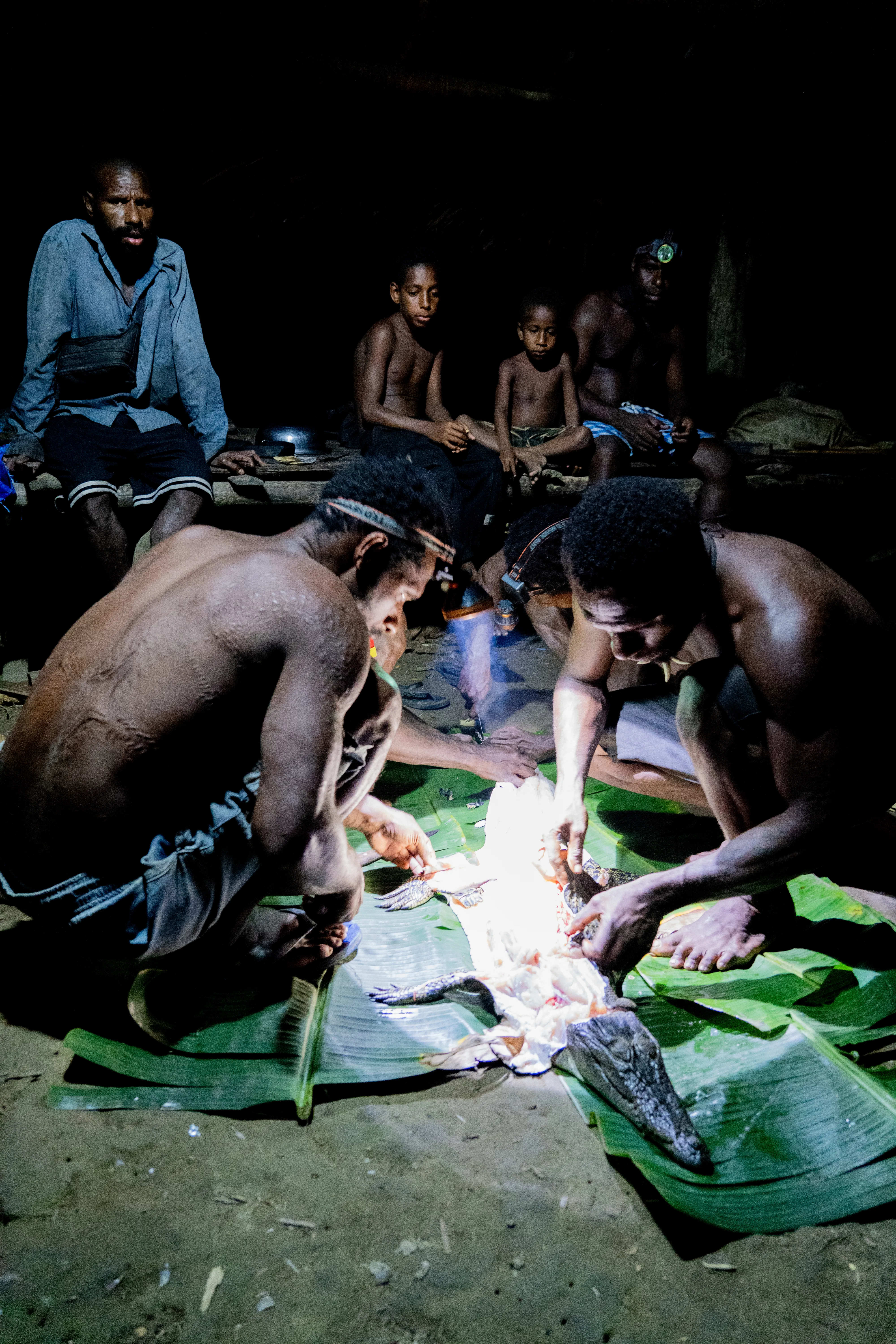 Butchering a crocodile, Papua New Guinea