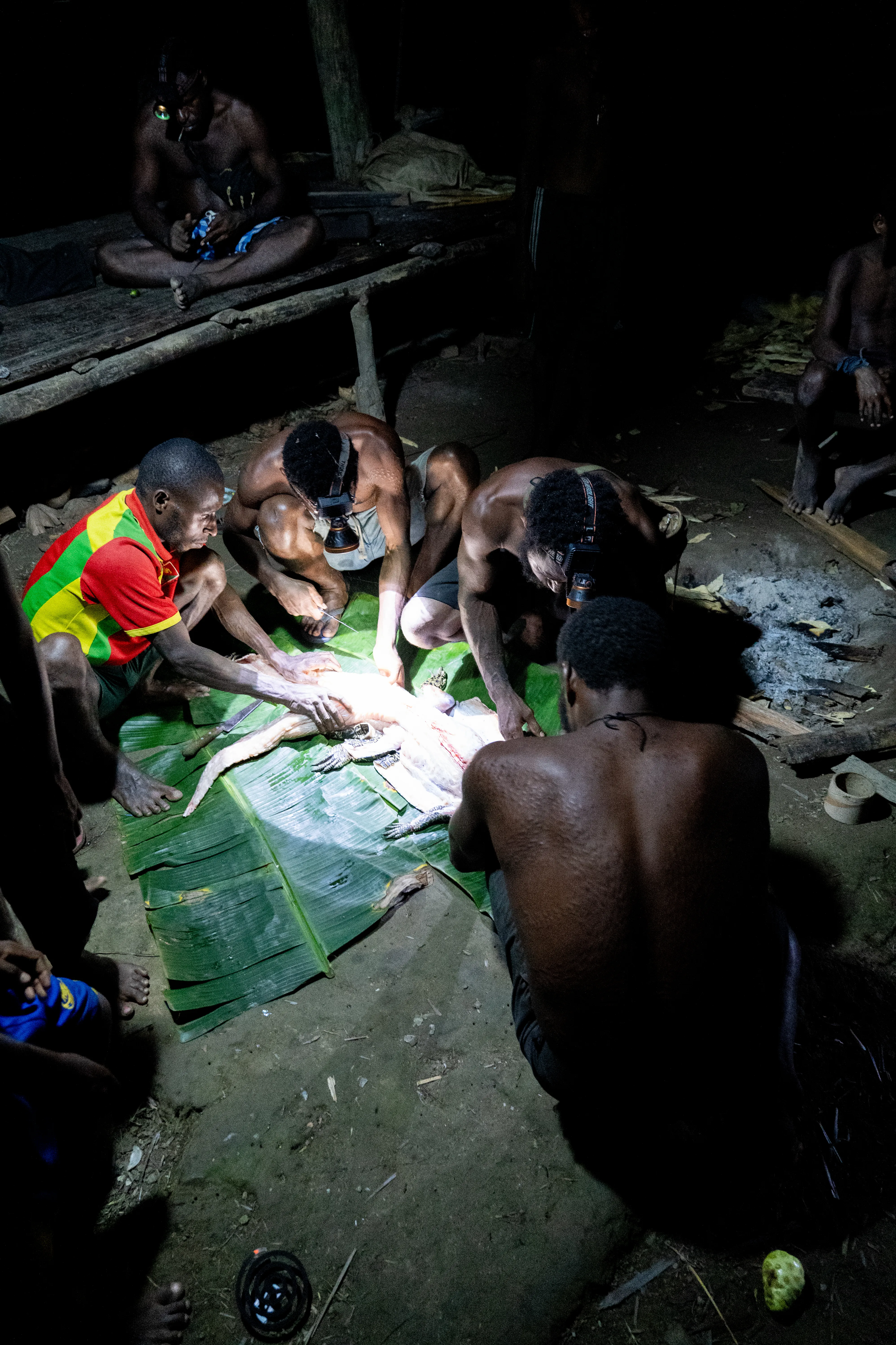 Butchering a crocodile on banana leaves by lamplight, Papua New Guinea
