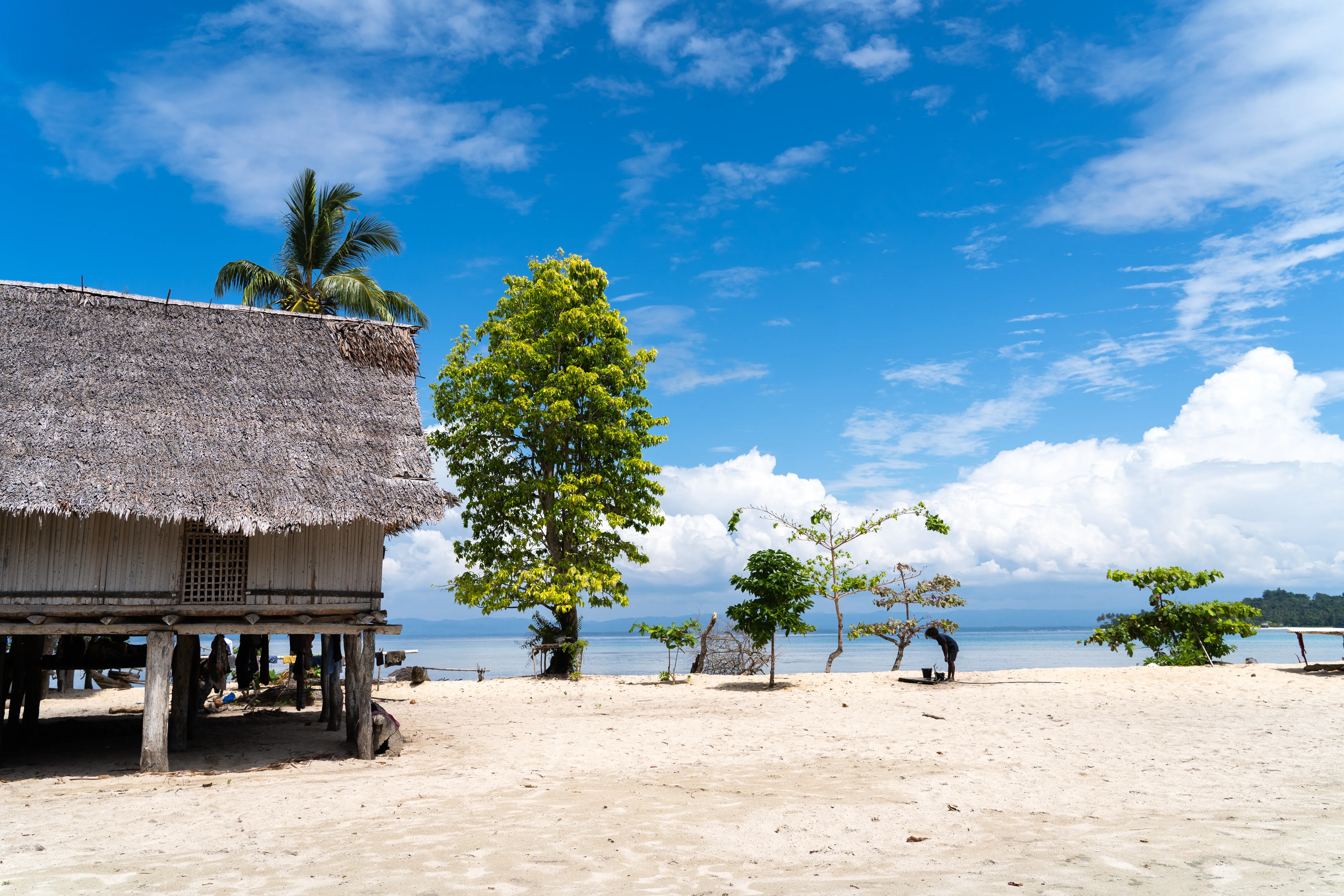Village on the beach, Papua New Guinea