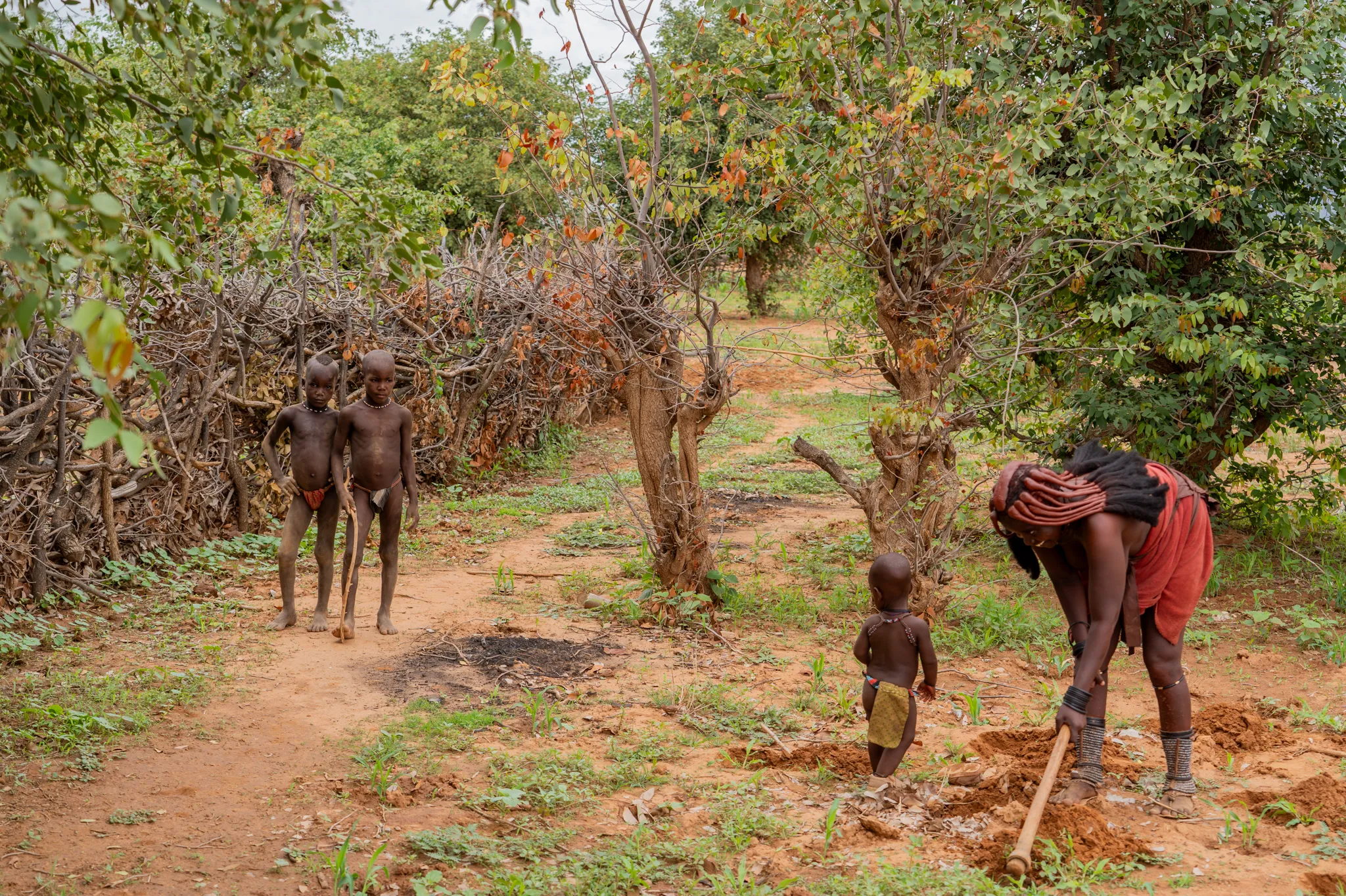 Himba woman digging with children looking on, Namibia